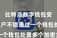 比特派数字钱包安全  用户不错通过一个钱包处置多个加密货币
