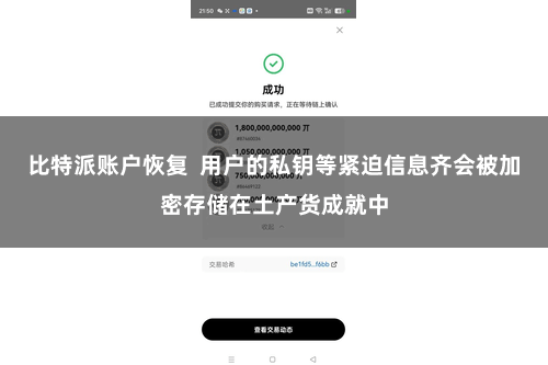 比特派账户恢复  用户的私钥等紧迫信息齐会被加密存储在土产货成就中