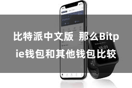 比特派中文版  那么Bitpie钱包和其他钱包比较