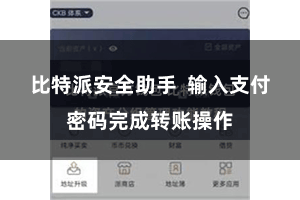 比特派安全助手  输入支付密码完成转账操作