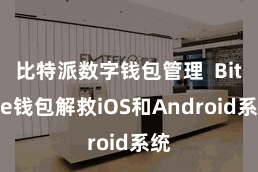 比特派数字钱包管理  Bitpie钱包解救iOS和Android系统