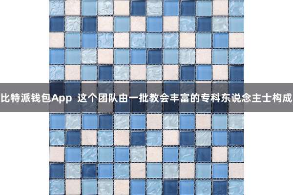比特派钱包App  这个团队由一批教会丰富的专科东说念主士构成
