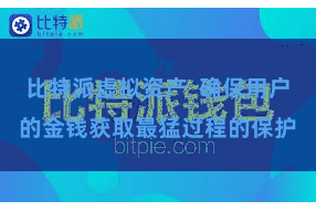 比特派虚拟资产  确保用户的金钱获取最猛过程的保护