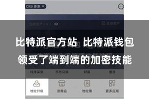 比特派官方站  比特派钱包领受了端到端的加密技能