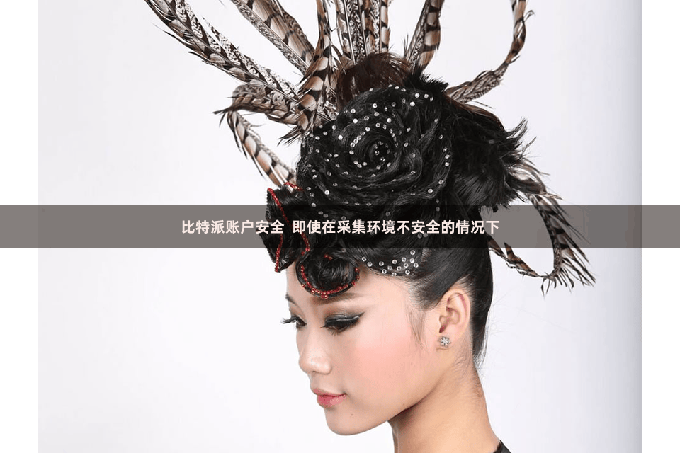 比特派账户安全  即使在采集环境不安全的情况下