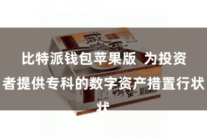 比特派钱包苹果版  为投资者提供专科的数字资产措置行状