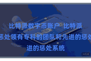 比特派数字币账户  比特派资产惩处领有专科的团队和先进的惩处系统