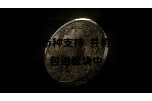 比特派币种支持  并将来回打包进区块中