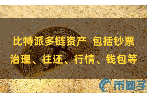 比特派多链资产  包括钞票治理、往还、行情、钱包等